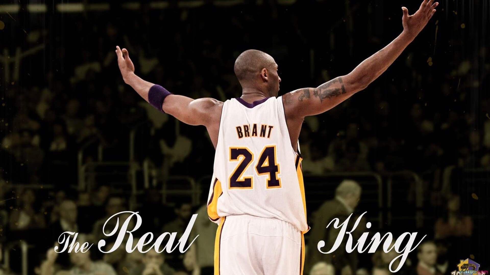 _赛事期间观众互动新玩法增添观赛乐趣_，比赛观众互动环节